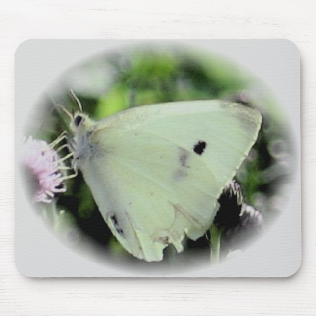 Butterfly Collection Mouse Mat (Front)