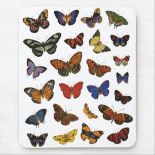 Butterfly Collection Mouse Mat