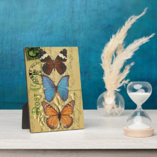 Butterfly collection plaque