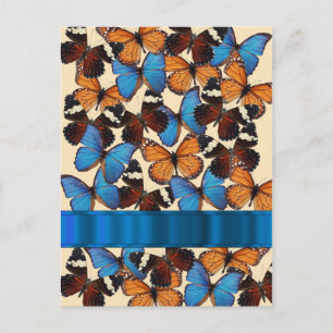 Butterfly collection postcard