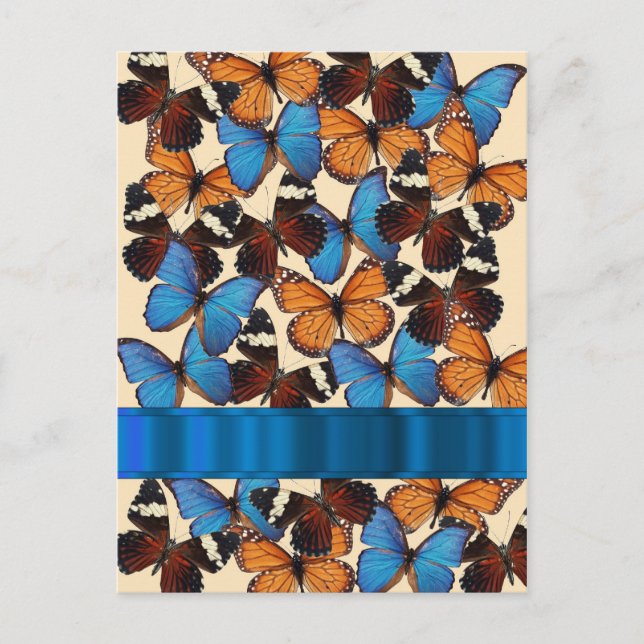 Butterfly collection postcard (Front)