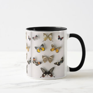 butterfly-collection, ringer mug