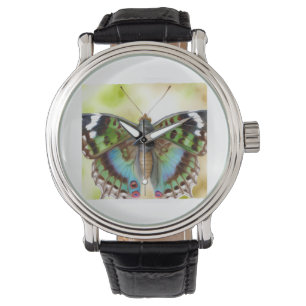 Butterfly dorsal view realistic watercolor and ink watch