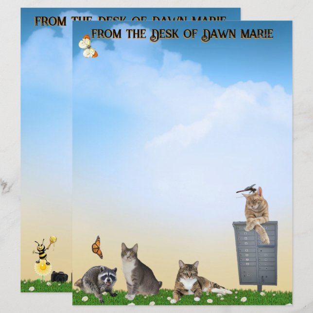 Butterfly, Dragonfly, Raccoon, and Summer Fun (Front/Back)