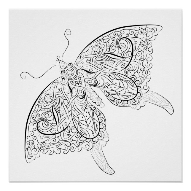 butterfly drawing adult coloring poster (Front)