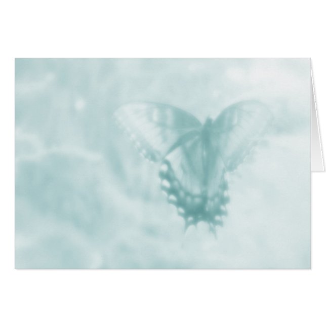 Butterfly Dreams (Front Horizontal)
