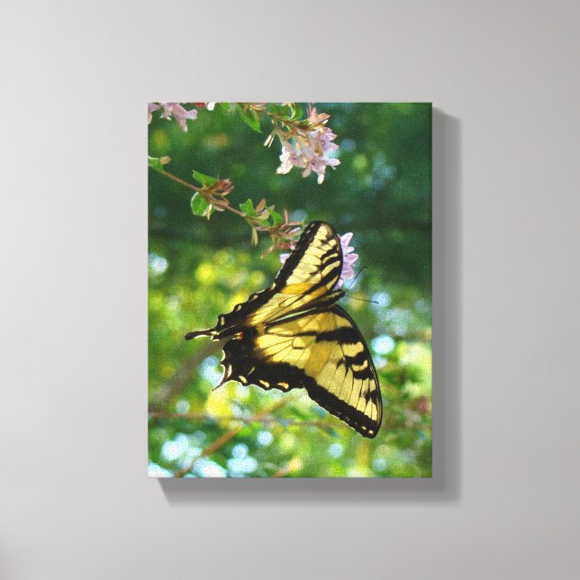 Butterfly Dreams Canvas Print (Front)