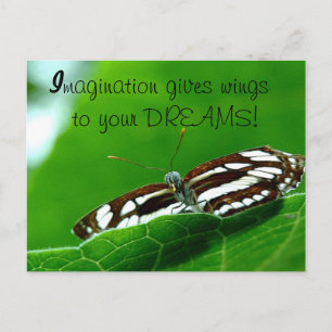 Butterfly Dreams post card