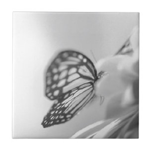 Butterfly Dreams Tile