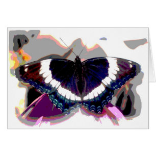 Butterfly Effect