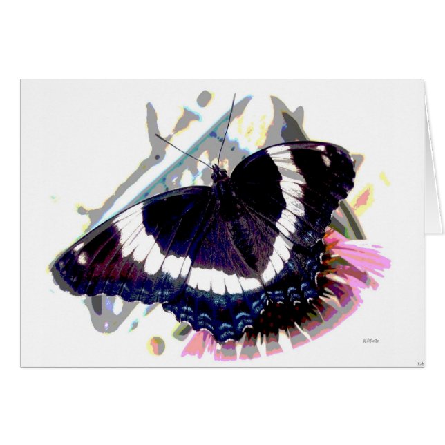 Butterfly Effect 3 (Front Horizontal)