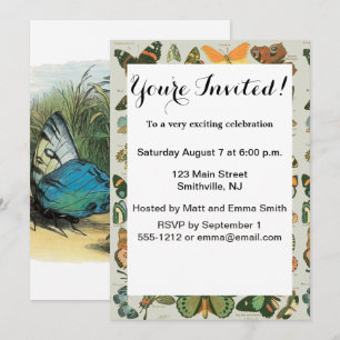 Butterfly Elf Artwork Cute Elves Butterflies Invitation