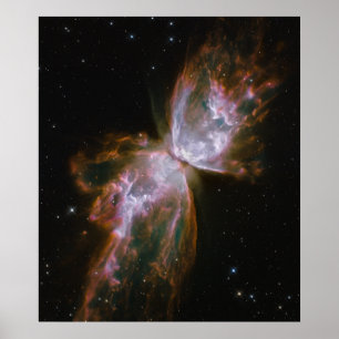Butterfly Emerges from Stellar Demise in Planetary Poster