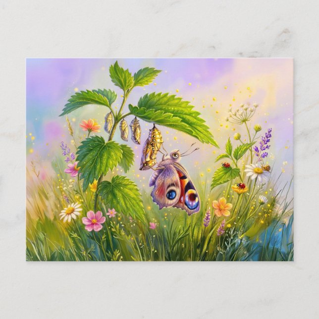 Butterfly Emerging From Chrysalis on Nettles Postcard (Front)