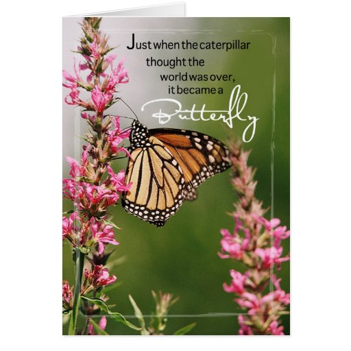 Butterfly Encouragement Greeting Card | Zazzle