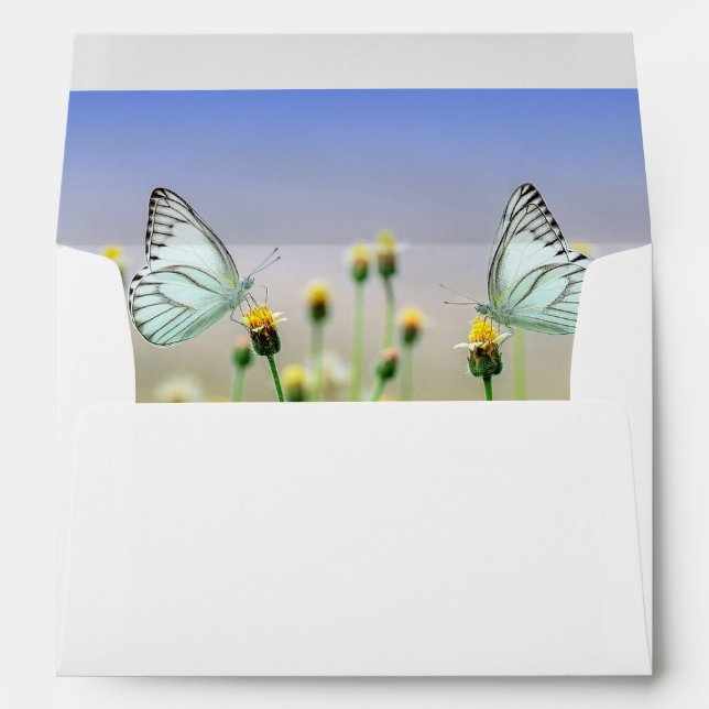 Butterfly envelope (Back (Bottom))