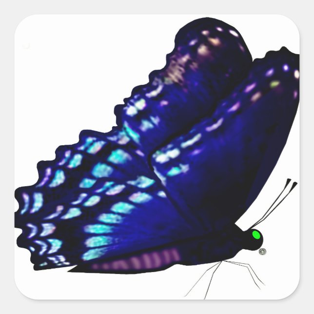 Butterfly Envelope Seals (Front)