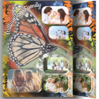 Butterfly Family Art