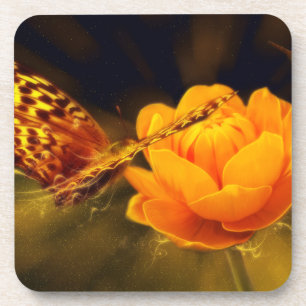 Butterfly Fantasy Coaster