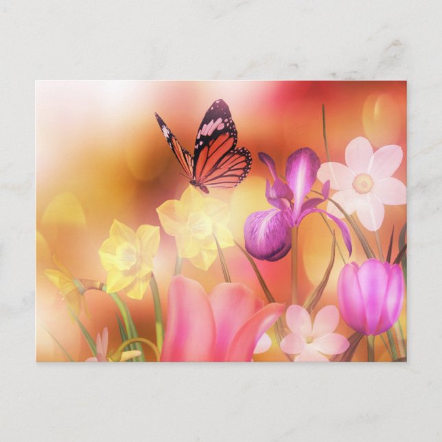 Butterfly  fantasy garden postcard (Front)