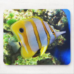 Butterfly fish mouse mat