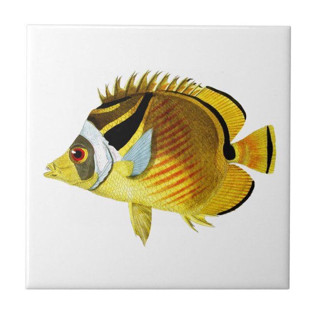 Butterfly Fish no.4 Tropical Coastal Home Decor Tile (Front)