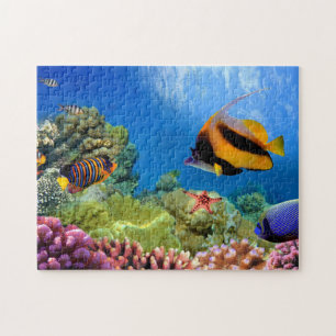 Butterfly fish & starfish under the sea Puzzle