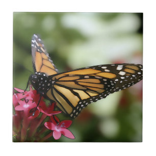 Butterfly Flower Ceramic Tile