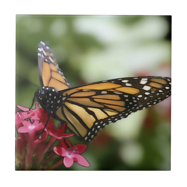 Butterfly Flower Ceramic Tile (Front)