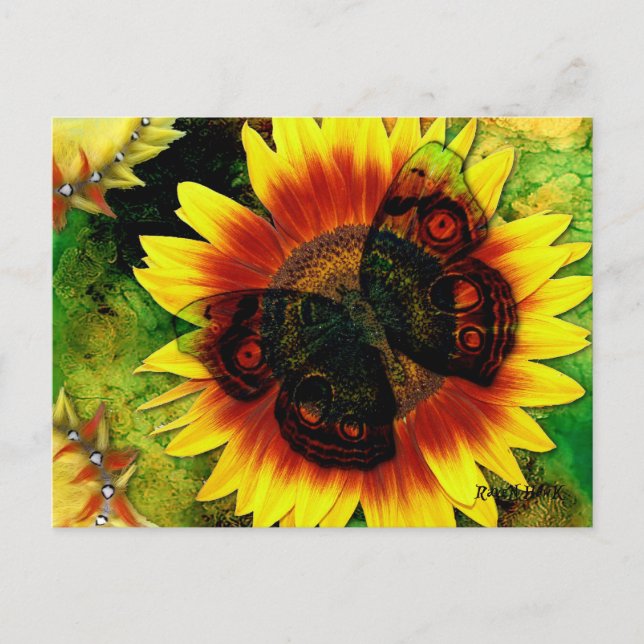 Butterfly Flower Postcard (Front)