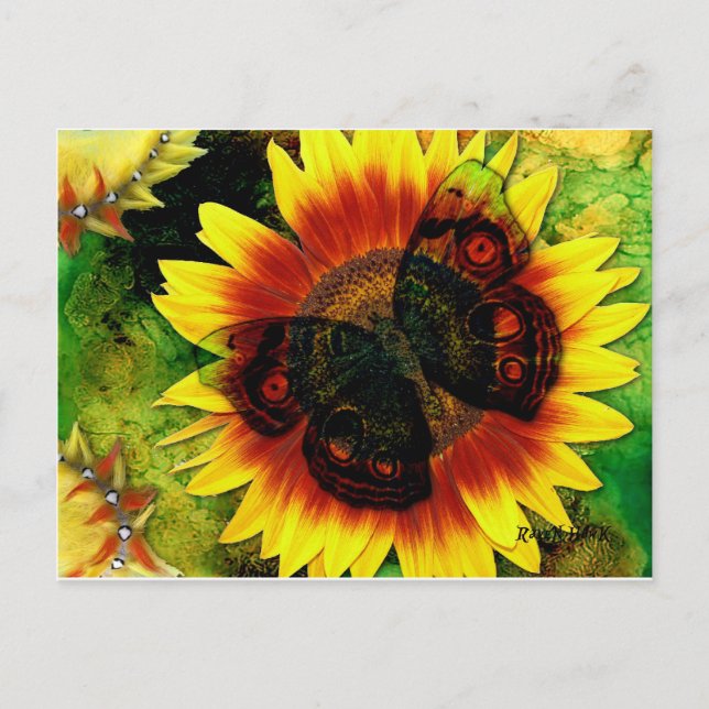 Butterfly Flower Postcard (Front)