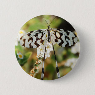 Butterfly Flowers Blossoms Wedding Shower Peace 6 Cm Round Badge