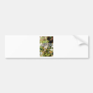 Butterfly Flowers Blossoms Wedding Shower Peace Bumper Sticker