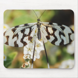 Butterfly Flowers Blossoms Wedding Shower Peace Mouse Mat