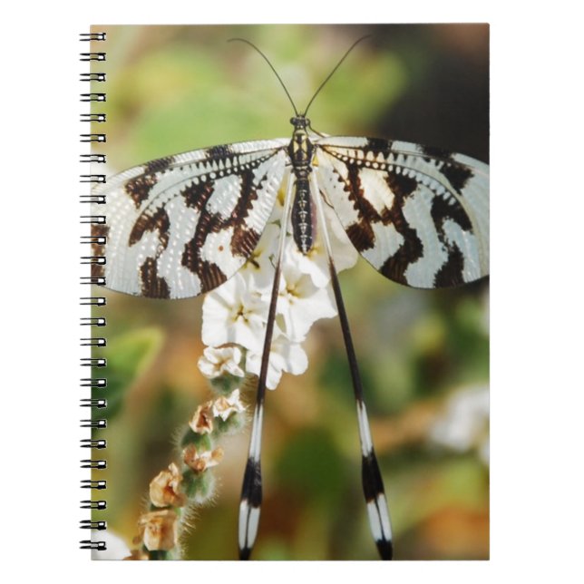 Butterfly Flowers Blossoms Wedding Shower Peace Notebook (Front)