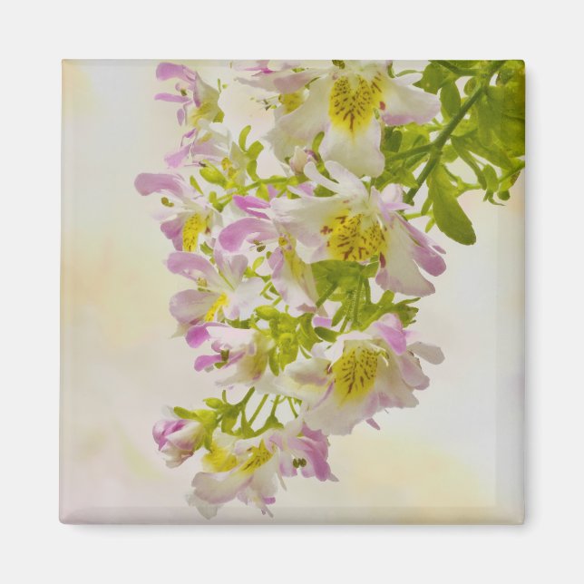 Butterfly Flowers Magnet (Front)