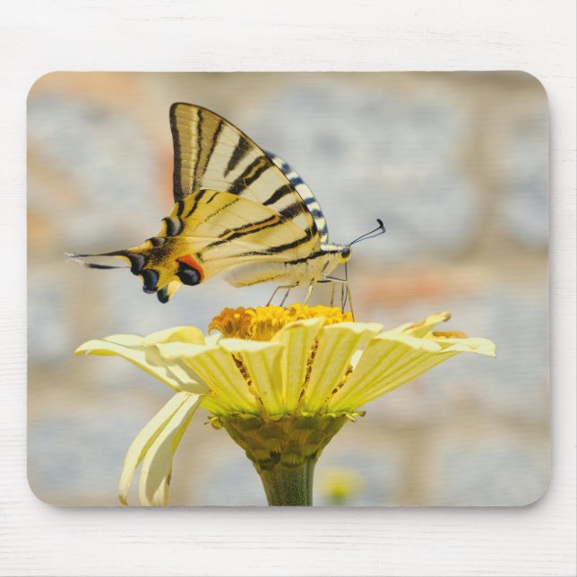 butterfly, flowers, nature mouse mat (Front)