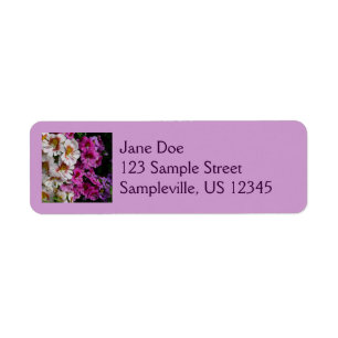 Butterfly Flowers White Pink and Purple