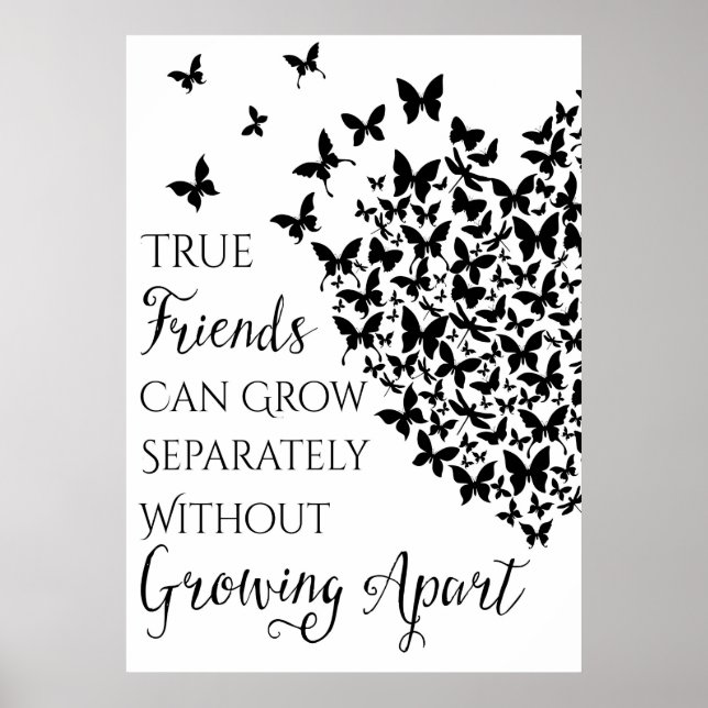 Butterfly Friendship Heart Poster (Front)