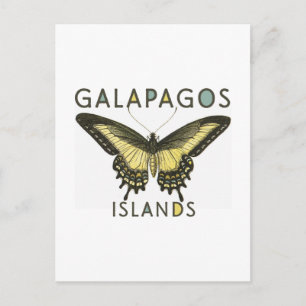 Butterfly Galapagos Islands Postcard