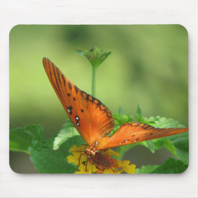 Butterfly Garden Mouse Mat (Front)