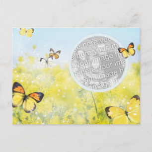 Butterfly Garden Postcard
