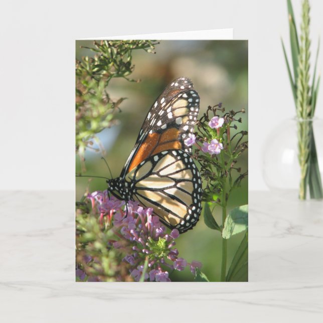 Butterfly Garden Series Card (Front)