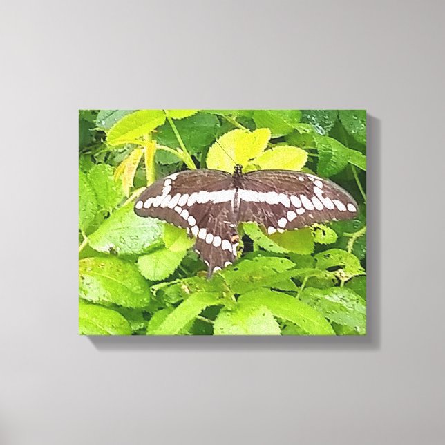 Butterfly Garden Wrapped Canvas (Front)
