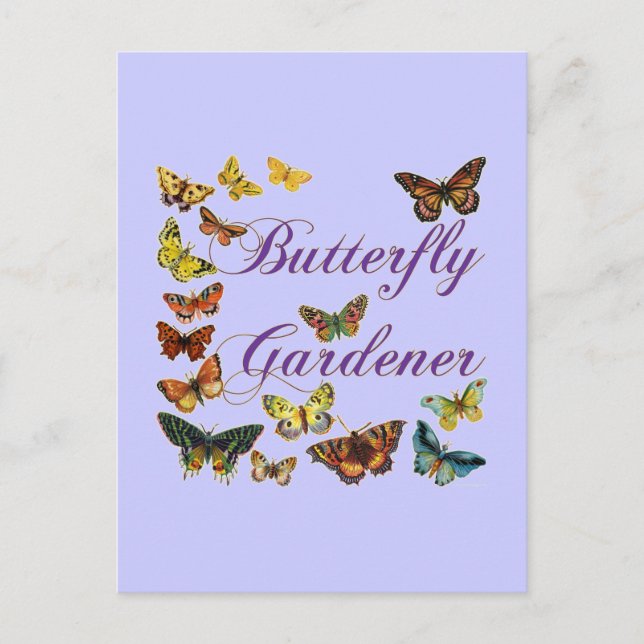 Butterfly Gardener Saying Postcard (Front)