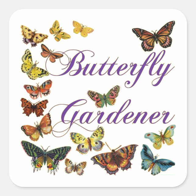 Butterfly Gardener Saying Square Sticker (Front)