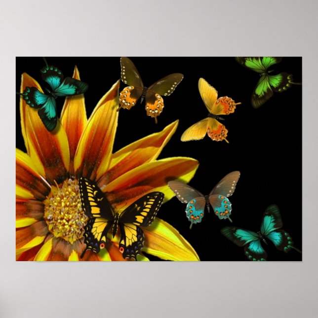 Butterfly Gardens Poster (Front)