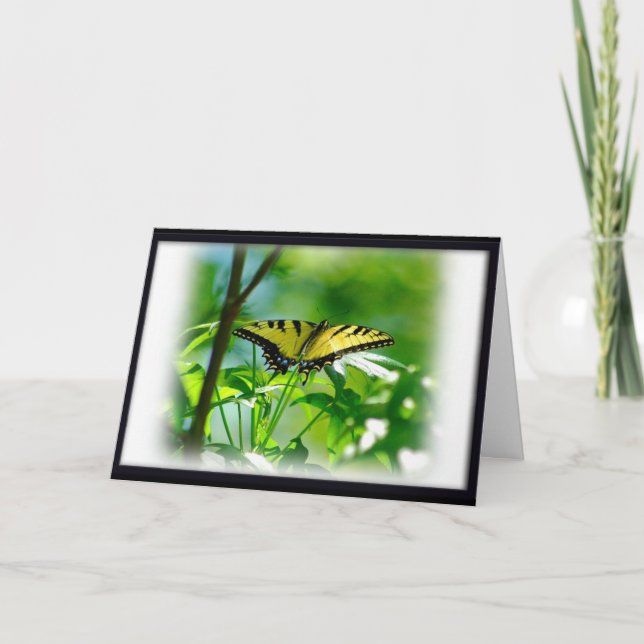 Butterfly Get Well Card (Front)