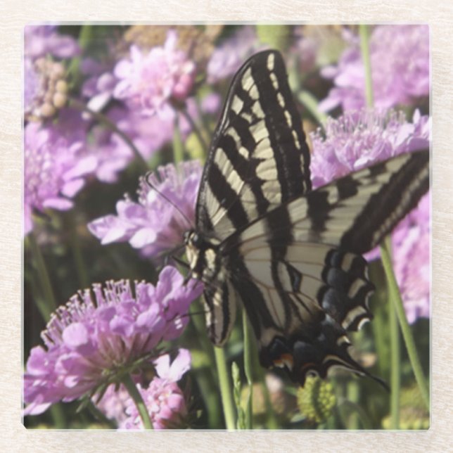 Butterfly glass coaster (Front)
