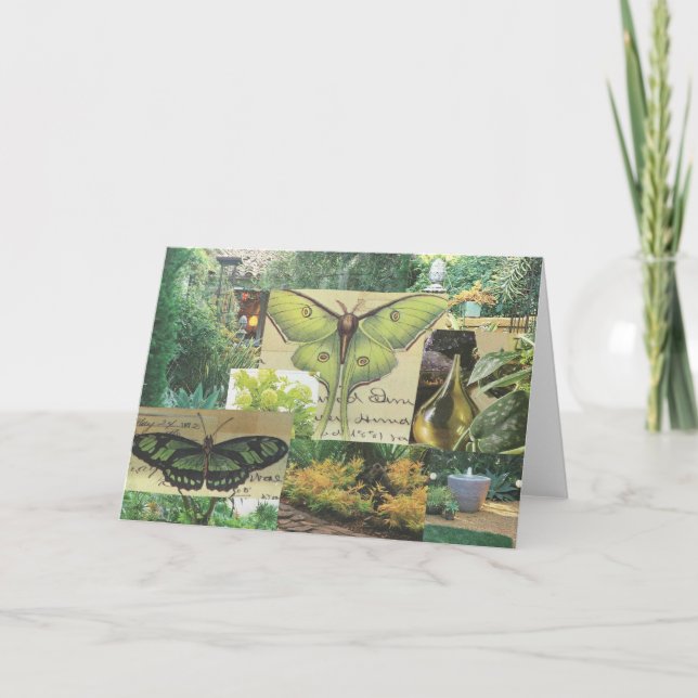 Butterfly Greeting Card (Front)
